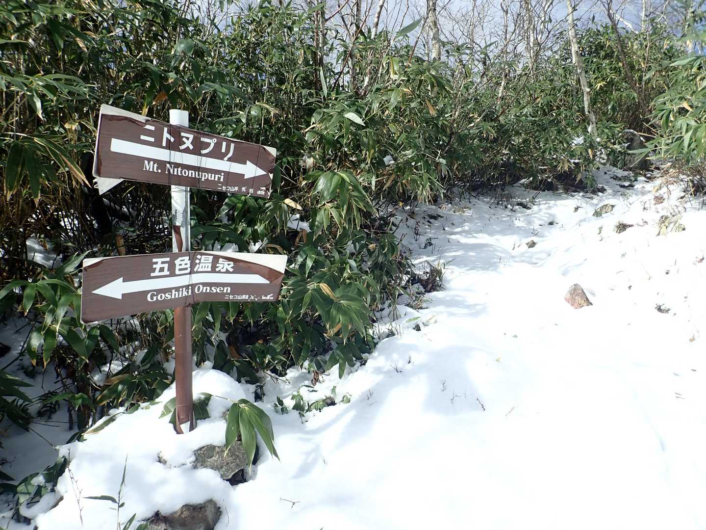 雪が多くなってきた