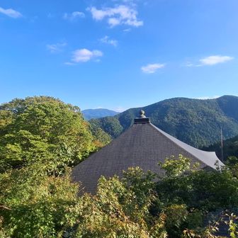 今日は暑いくらいのいい天気☀️