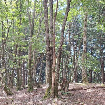 休憩場所には困りません👍
長居も出来ないので谷コースで下山します🚶‍♂️