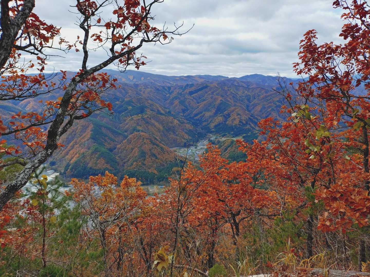 宇霊羅山登山口-宇霊羅山-音床山 往復コースの写真