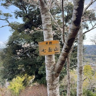 　ベンチのある展望地に据えた山名板は、まだしばらくは持つだろう。桜が開花していた。
　小休止して、桜あんぱんを食べた。