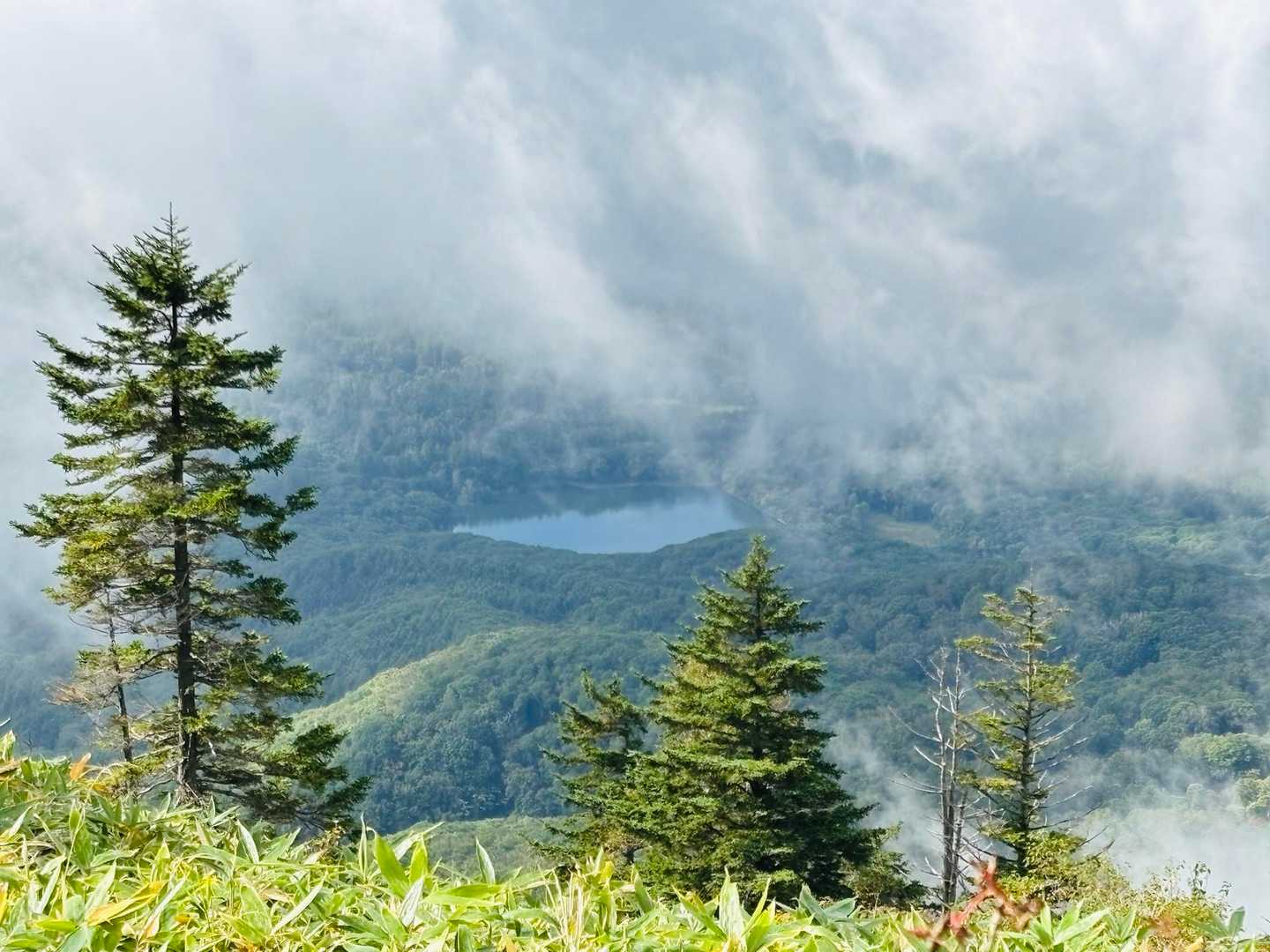 景観を見ながら歩きます。
古池が見えます。