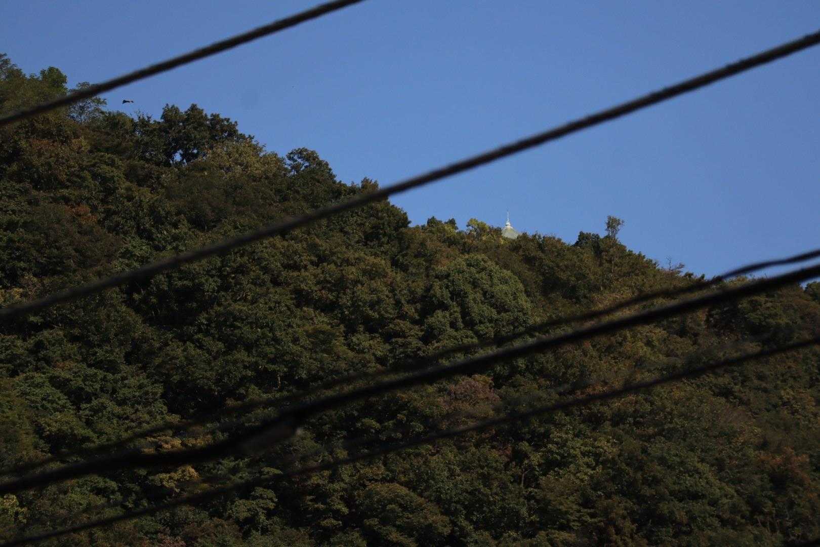 下から権現山のシンボルが見えた