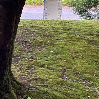 トイレしたくって戻ってきました。
再度スタート