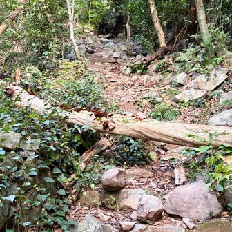 山頂手前の最後の試練💦（ちょいとした急登）