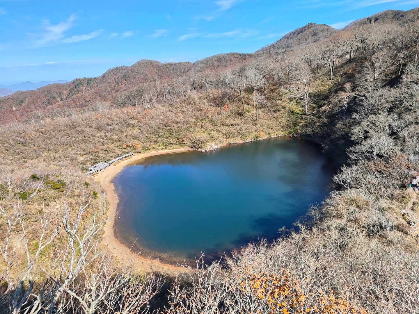 この高さではハート形には見えませんねぇ🤔