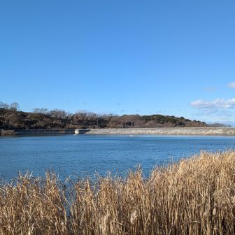 つくし湖