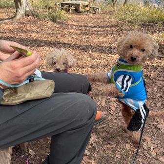 おやつタイムには揃っておねだりしてますが、一匹は、ここまでサコッシュで運ばれてきました😅