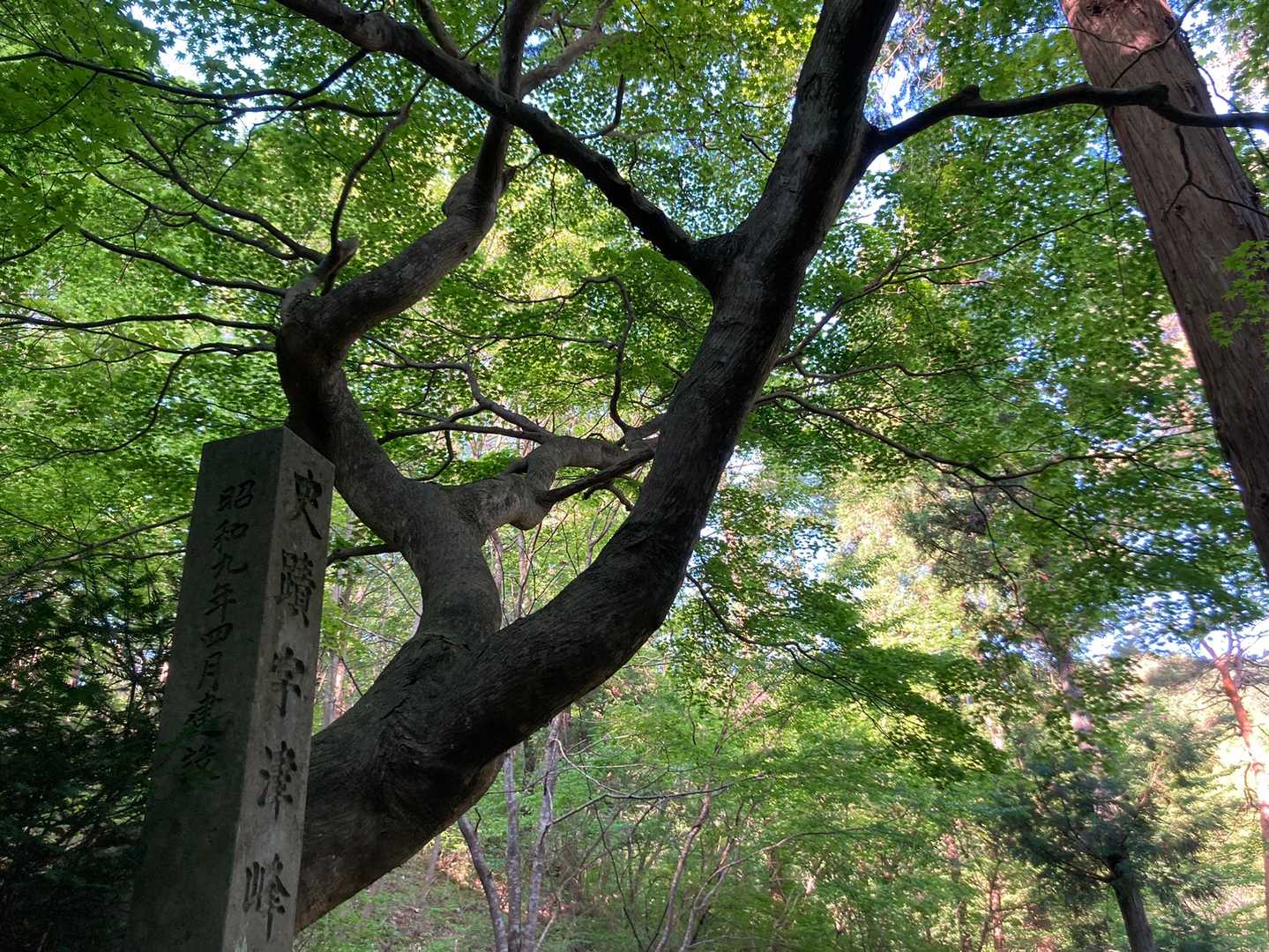 宇津峰 往復コースの写真