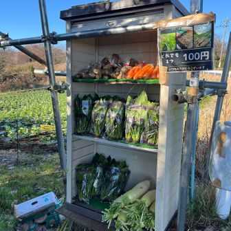 安い！！買って帰りたかった…