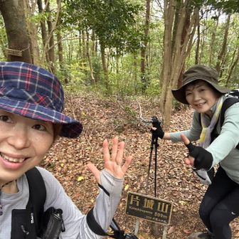 登って降りてまた登り、で6座目片城山