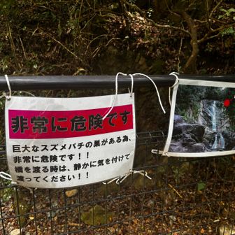 ふと横を見ると😱
静かに、そして足早に立ち去ります💨
