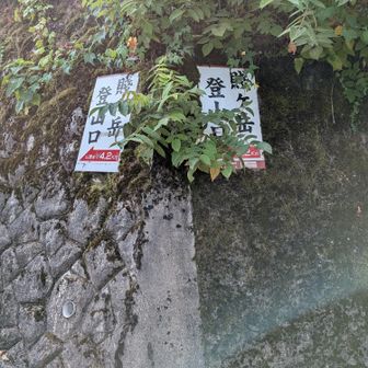 賤ヶ岳登山口
4.2㌔