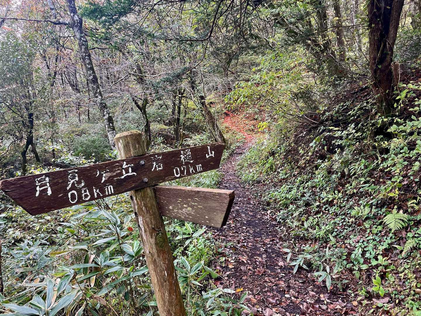 月見が丘登山口-岩樋山-道後山-多里大山 周回コースの写真