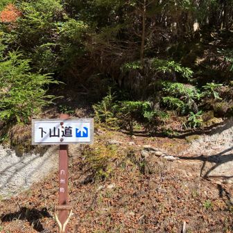 下山道なのに登るとは此は如何に。