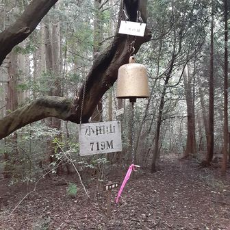 一等三角点だから、昔はさぞ眺めが良かったのでしょう。