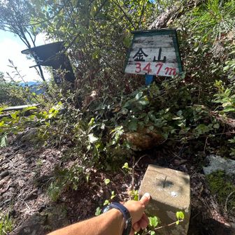 １０　金山
⛰️⛰️⛰️⛰️⛰️  ⛰️⛰️⛰️⛰️⛰️