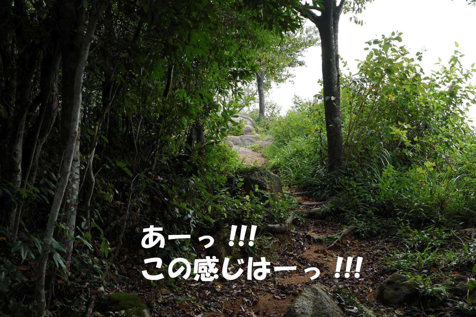 鼻歌歌いながら
てくてくてく