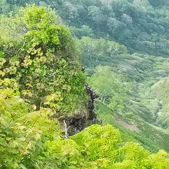 鬼の鼻面岩