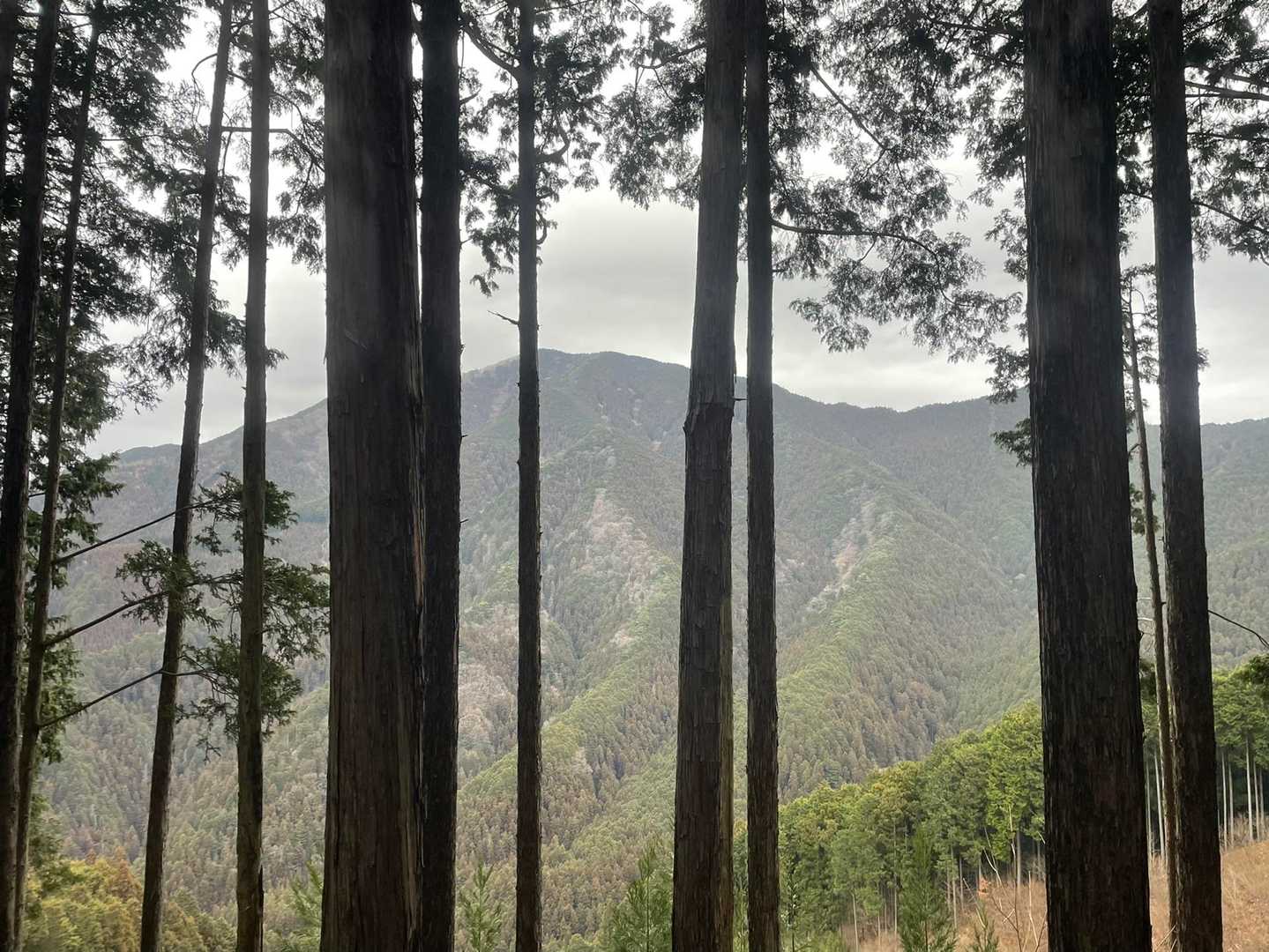 風雨雷山-笹目倉山 往復コースの写真