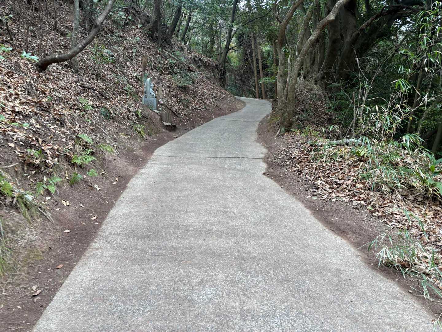 とっても綺麗にお掃除されている🧹✨