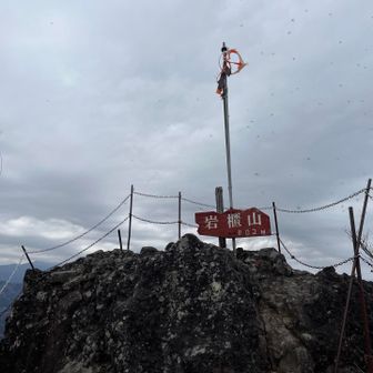 頂上！なんか虫がいっぱいいた。眺望良し！周り見たら、自分の立つ位置が確認できて〜、怖〜ってなります。😅