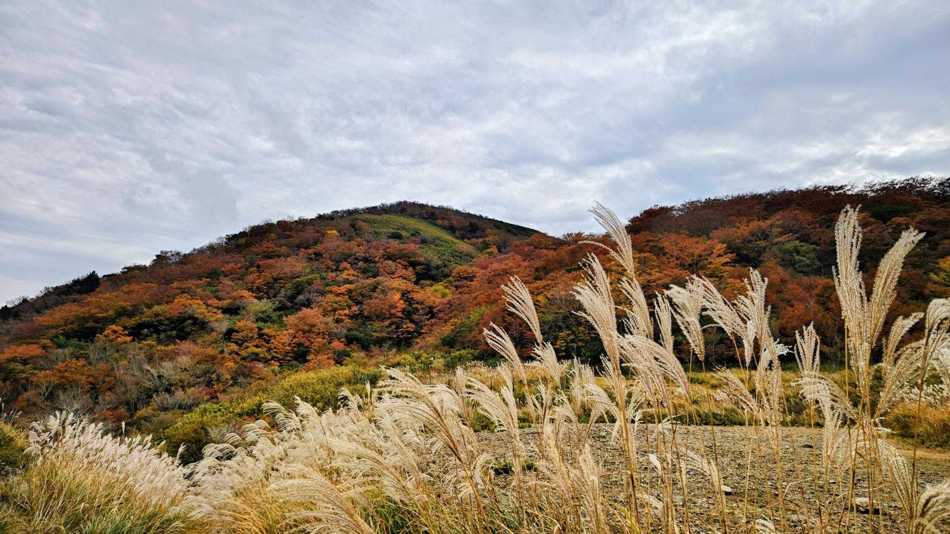明神ヶ岳方面は、山肌が真っ赤っ赤🍁🍂🍁🍂