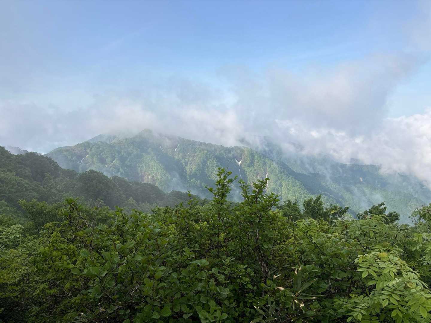 景色が見えてきた