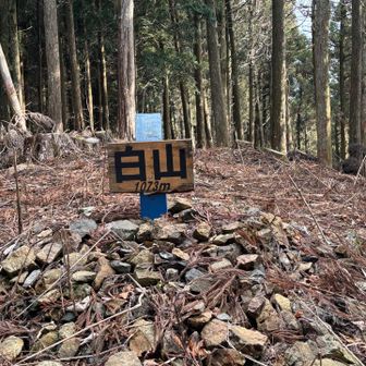 とりあえず来たけど眺望なし