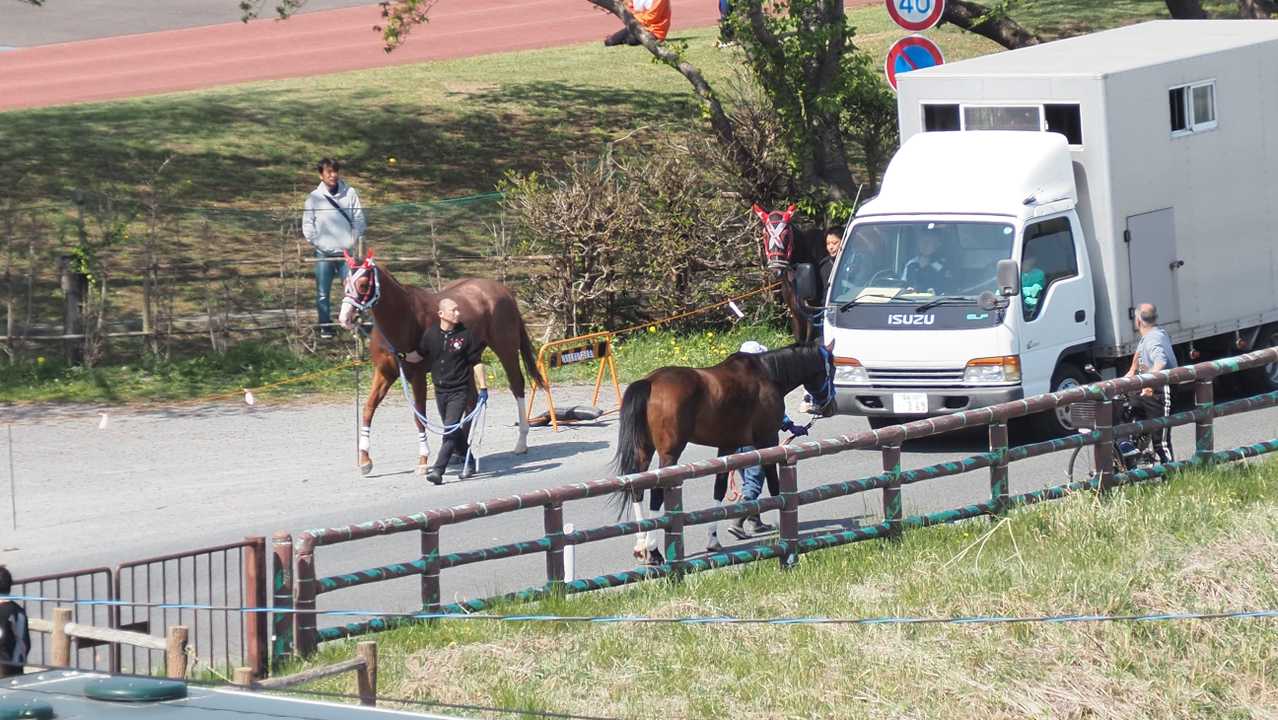 ふくしま浜街道トレイル#3-2（浪江駅〜小高〜雲雀ヶ原〜原ノ町駅） の写真 82