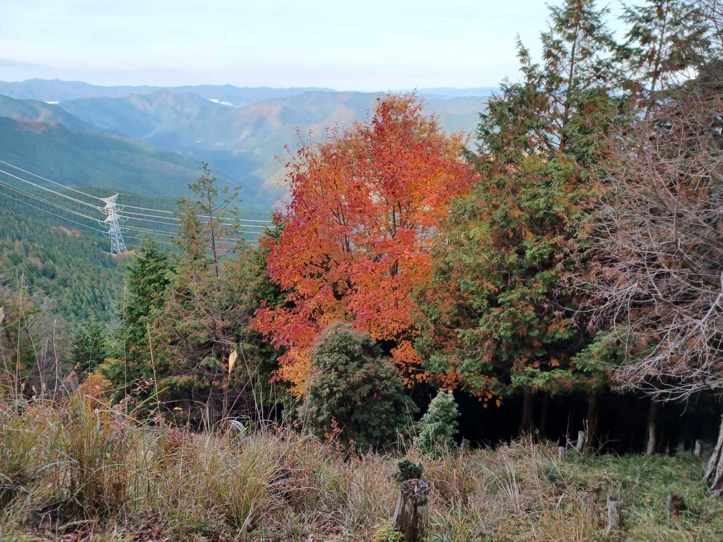 栃尾山の写真