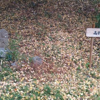 舗装道を少し進むと登山口の看板。