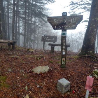 板取山登頂🙌本当は天水まで行きたかったけどタイムオーバー。また来年