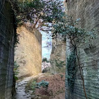 日本寺の大仏とか五百羅漢も見たいけど今日は鋸山のピークに行く使命があるため引き返す🚶‍♀️
拝観料700円は高い😭