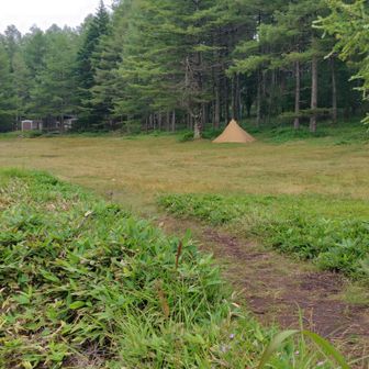 キャンプ⛺️場へ出ました
今は一張のみ
