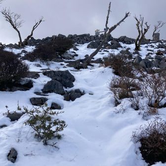 山頂まであと少し🥵