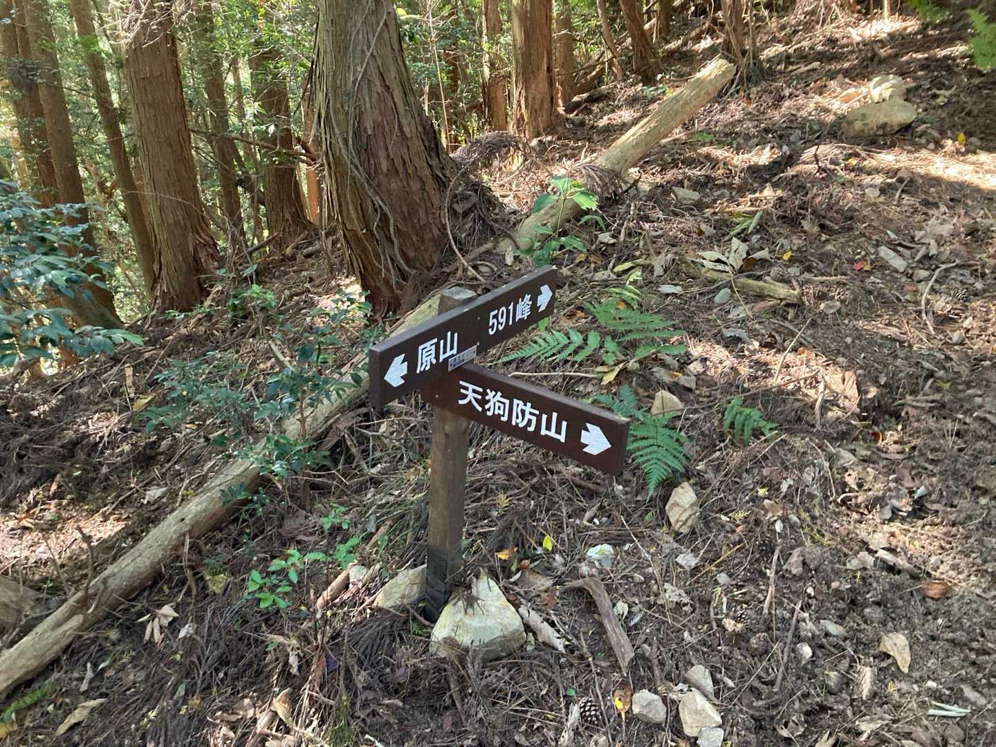 安芸アルプス縦走コースの写真