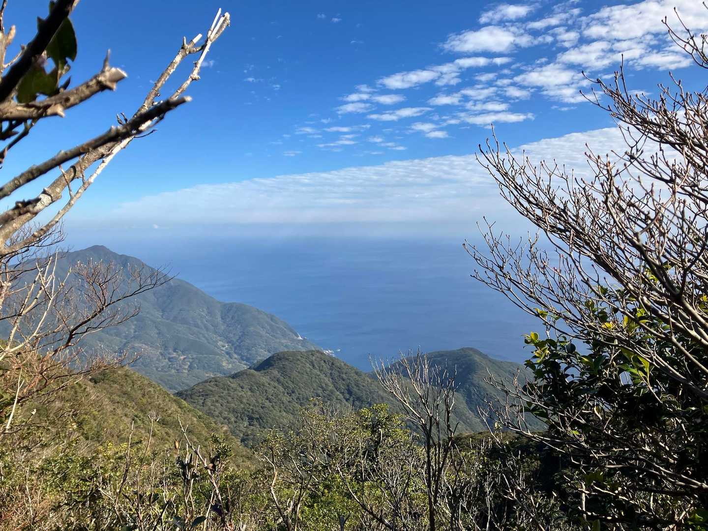 枯木岳-稲尾岳 往復コースの写真