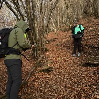 ヤマップ起動忘れてたみたい笑
認知症？