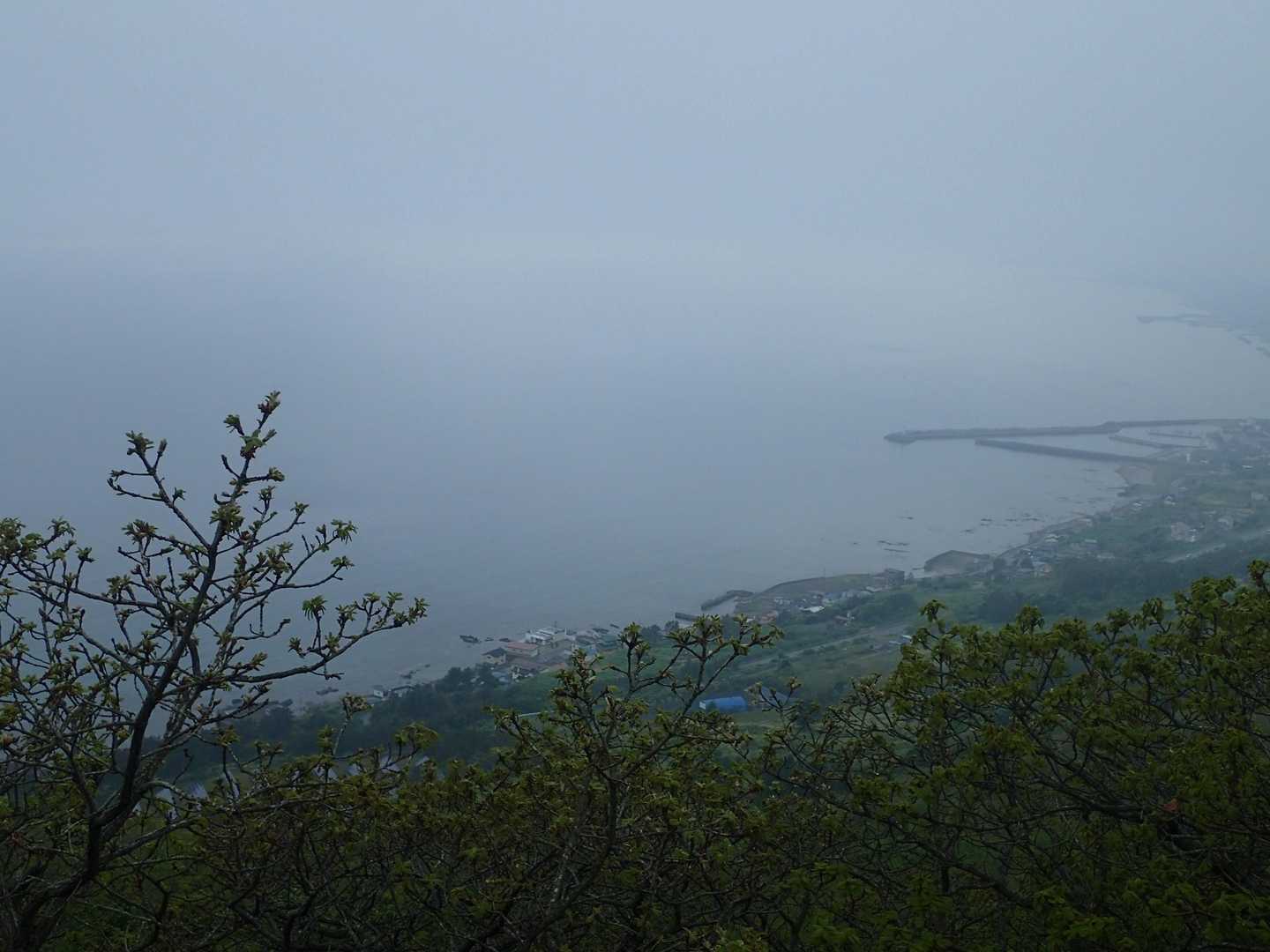雨がしとしと