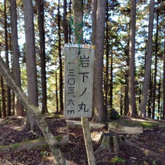 岩下ノ丸1303.6m