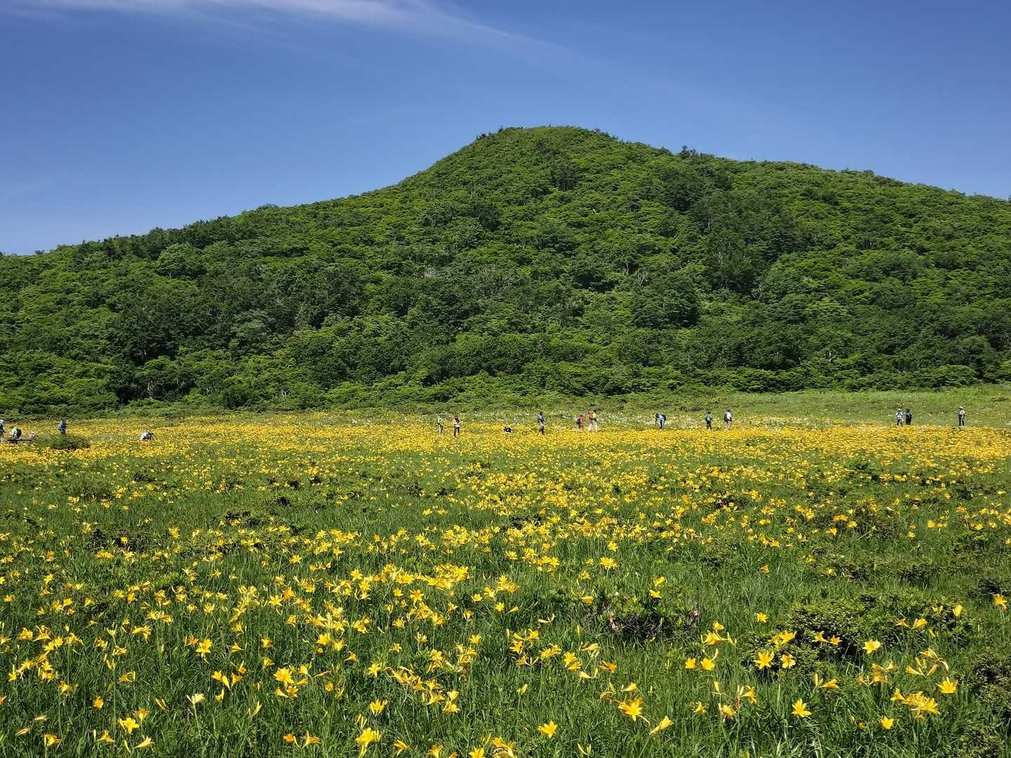 八方台登山口-猫魔ヶ岳 往復コースの写真