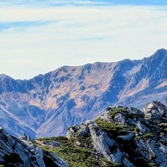 コチラは水晶から鷲羽