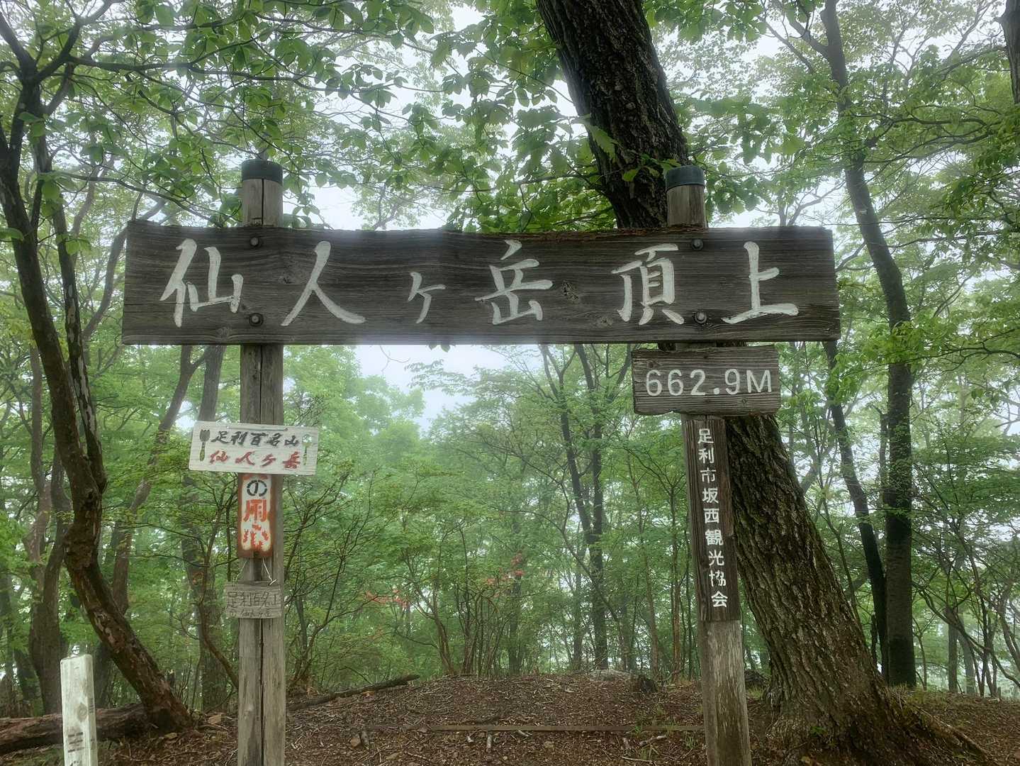 7座目