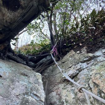 こんどは行者コースの核心部