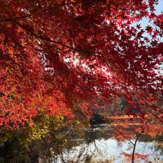 🍁紅葉が綺麗でした🍁震生湖とパシャリ📸