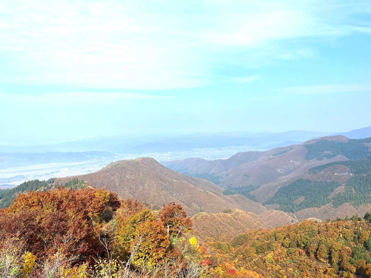 一本杉-鳴倉山-トヤの頭-駒の頭-黒禿の頭-笠倉山-大力山 周回コースの写真