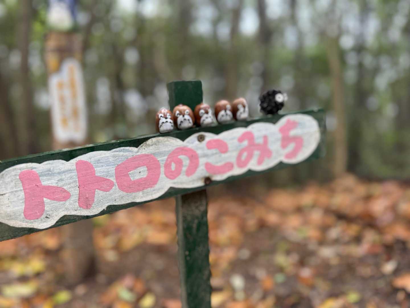 トトロのこみち、おじゃましまーす♪
濡れながら歩いてるけど、テンション上がってきた😚