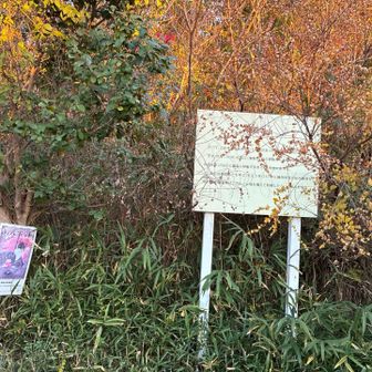 山の名前が違いますね。