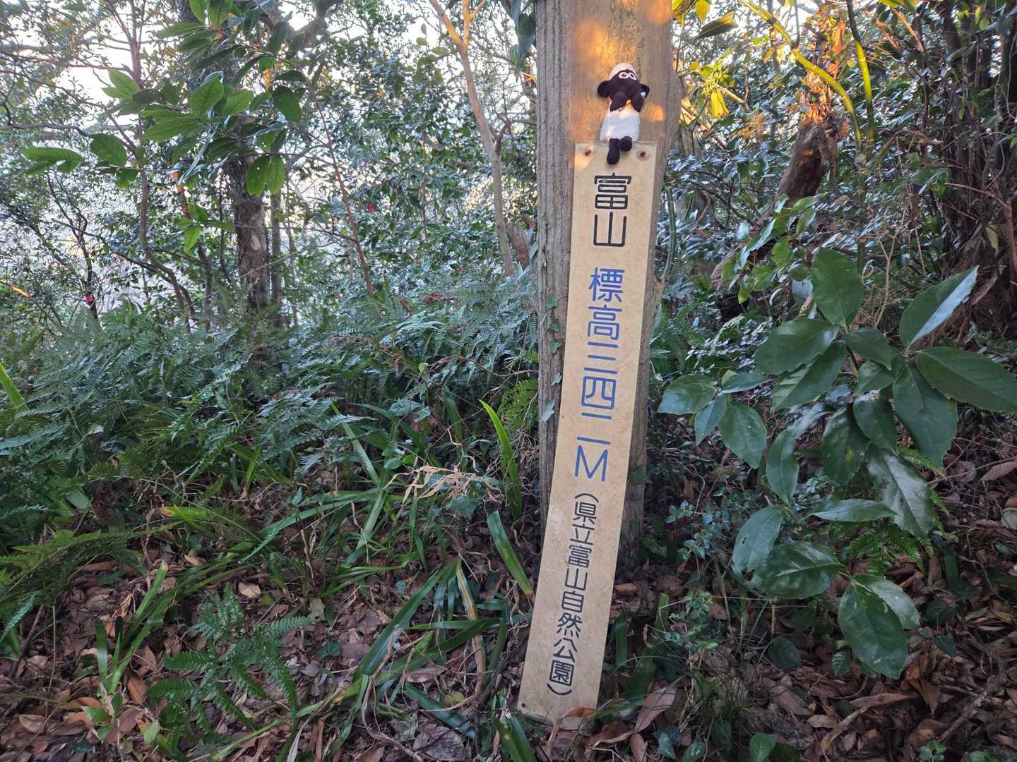 富山（南峰, 観音峰）山頂～⛰️
関東百名山66座目です😄
